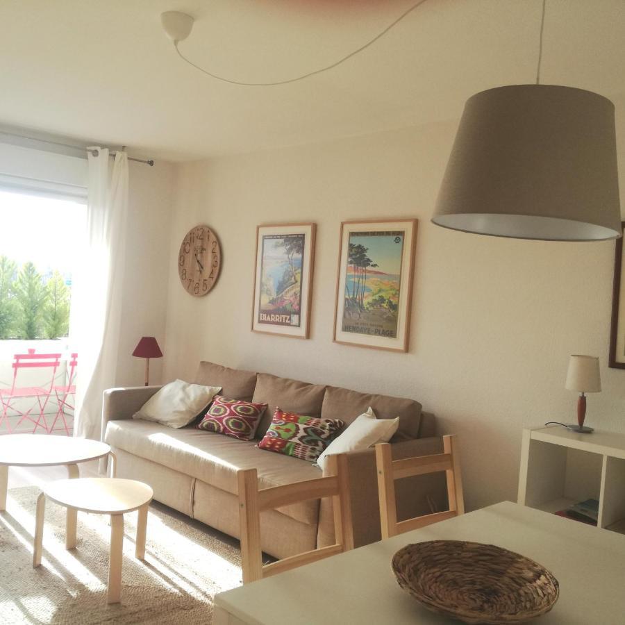 Apartament Bidasoa Con Vistas Hendaye Zewnętrze zdjęcie